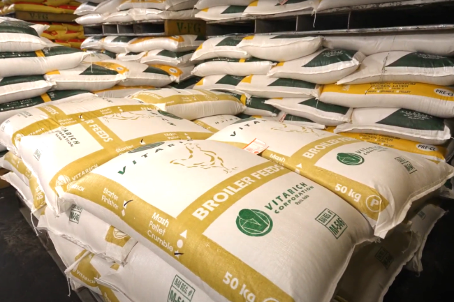 Unlocking Growth – Challenges and Opportunities in the Philippine Livestock and Poultry Sector
