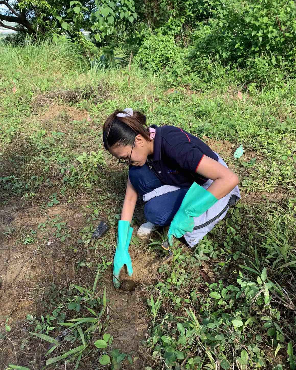 FAST Marks Philippine Arbor Day 2024 with Tree Planting Activity FAST