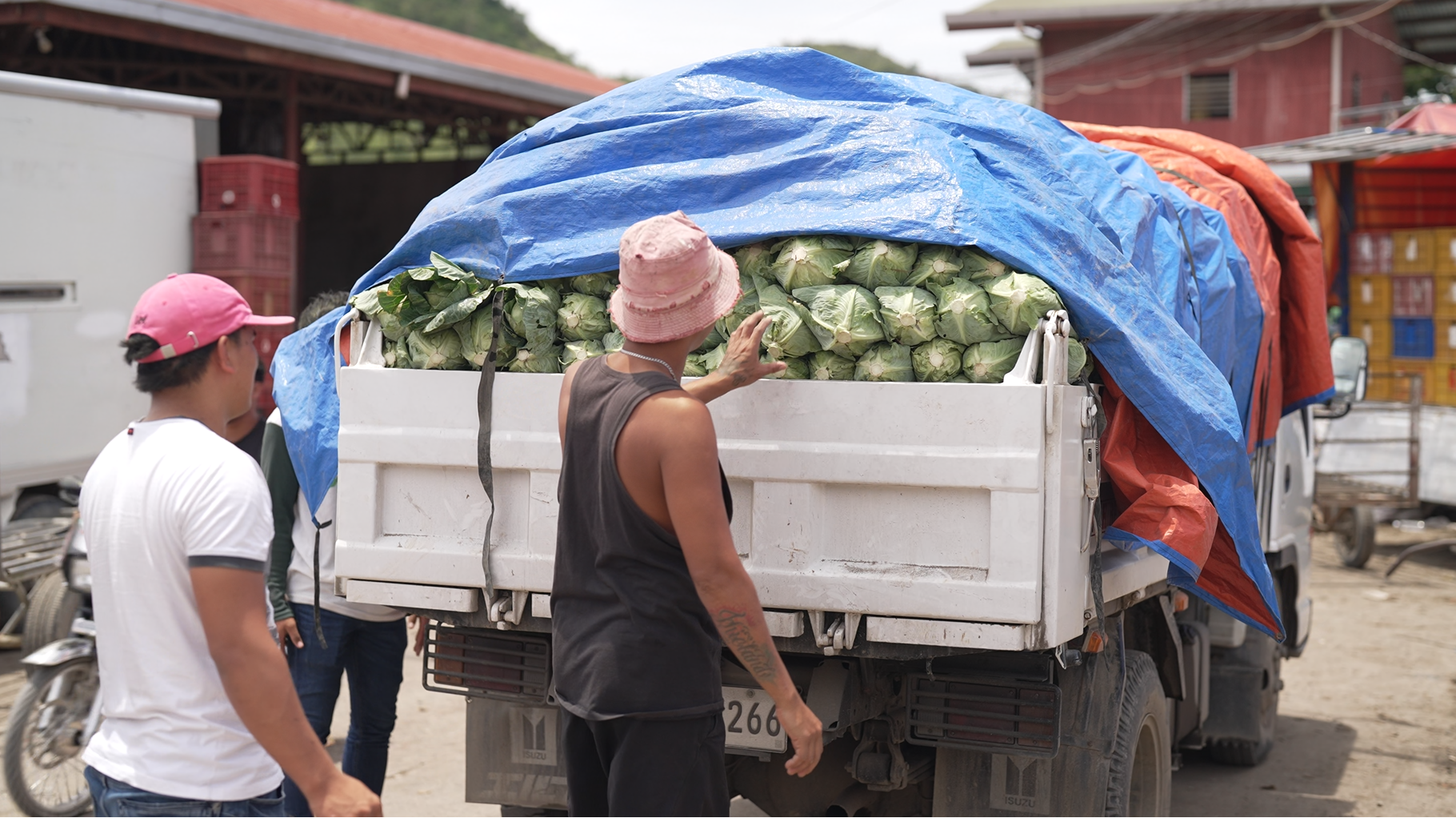 Agro-logistics in the Philippines