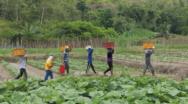 Agro-Logistics in the Philippines: Challenges and Opportunities