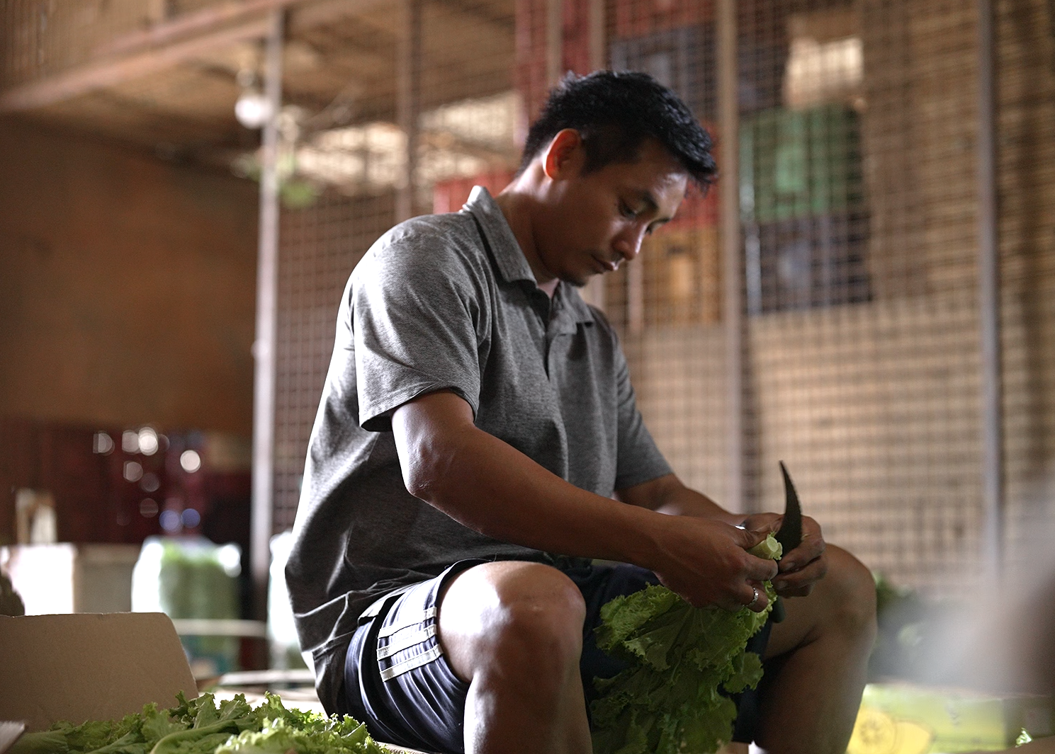 Innovative agro-logistics