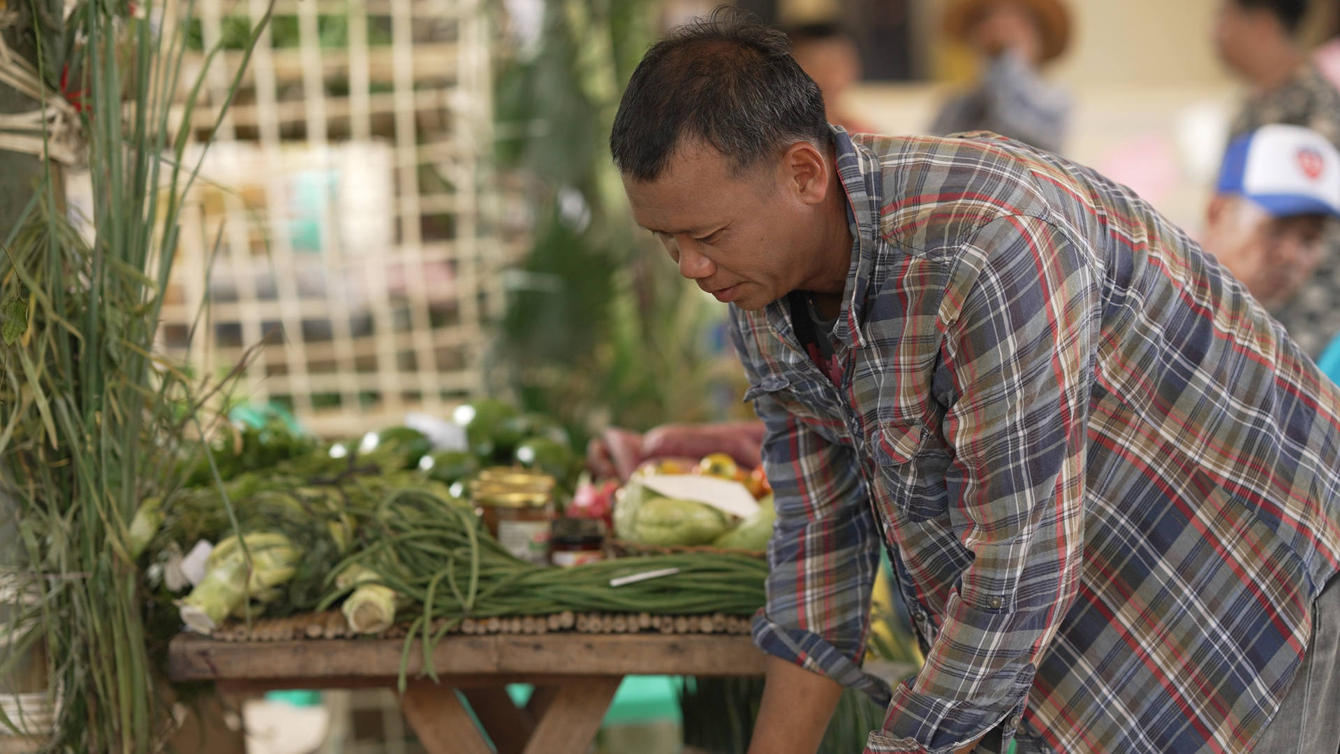 innovative agro-logistics